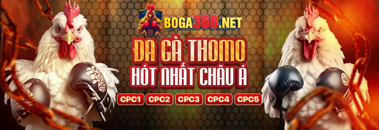 Blog uu8 casino - Hướng dẫn cá cược và tin tức mới nhất